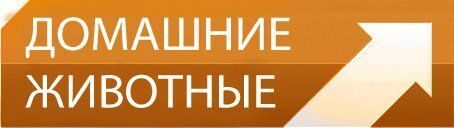 животн